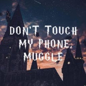 Meet your Posher, Shelby